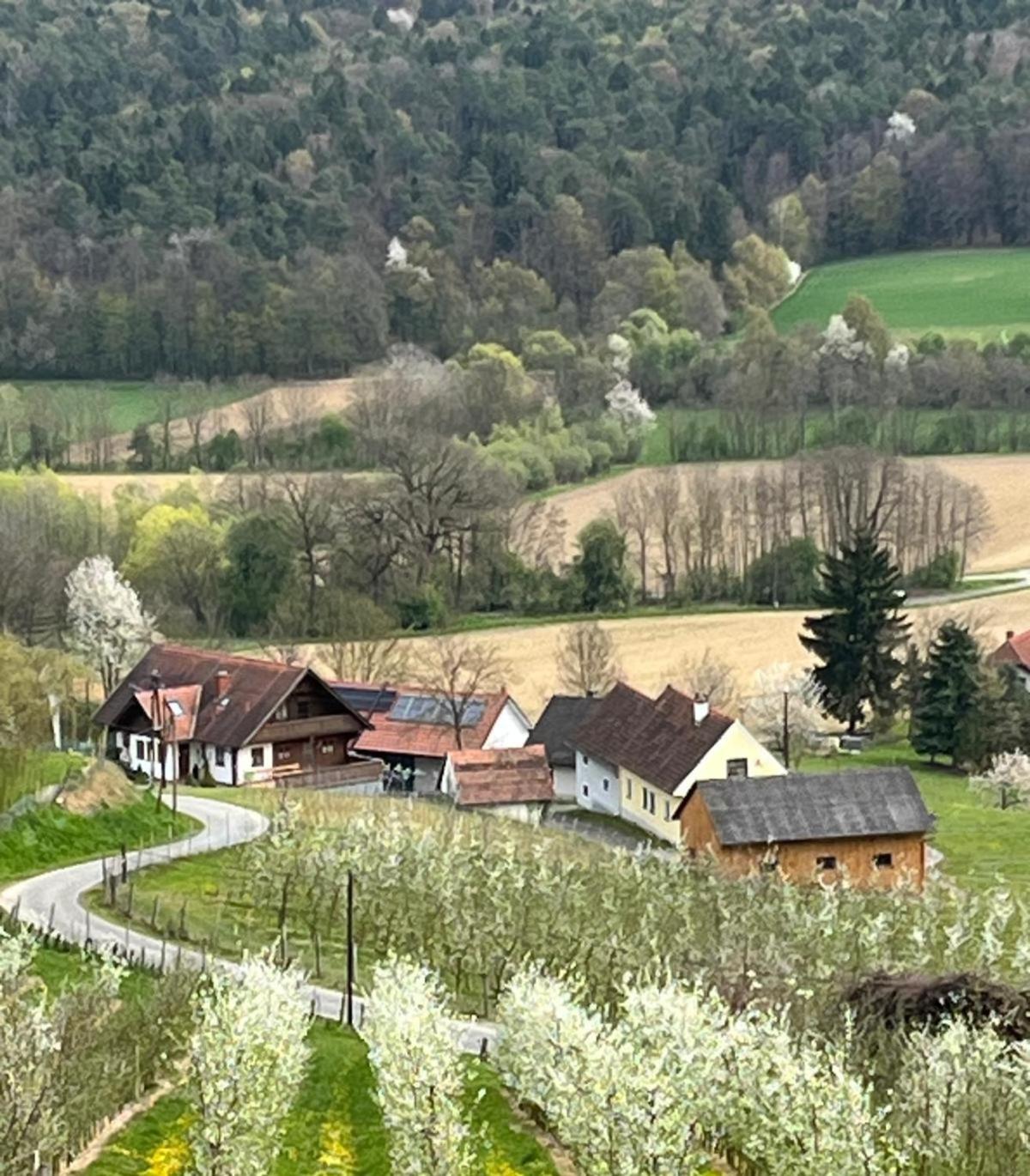 Gaestehaus - Camping- Weinhof Radl Klöch Dış mekan fotoğraf